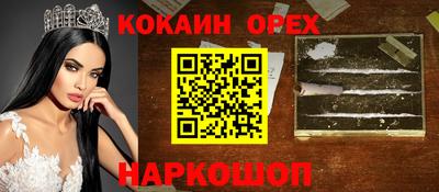 гидра Новодвинск