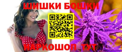 гидра Новодвинск