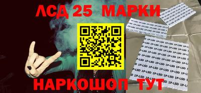 СК Новозыбков
