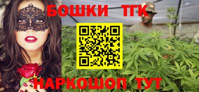 гидра Новодвинск