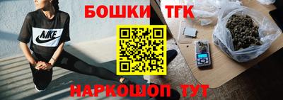 гидра Новодвинск