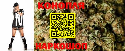 гидра Новодвинск