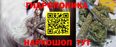 СК Новозыбков