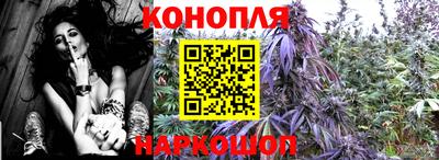 гидра Новодвинск