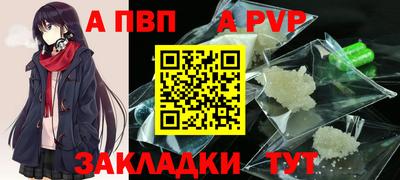 СК Новозыбков